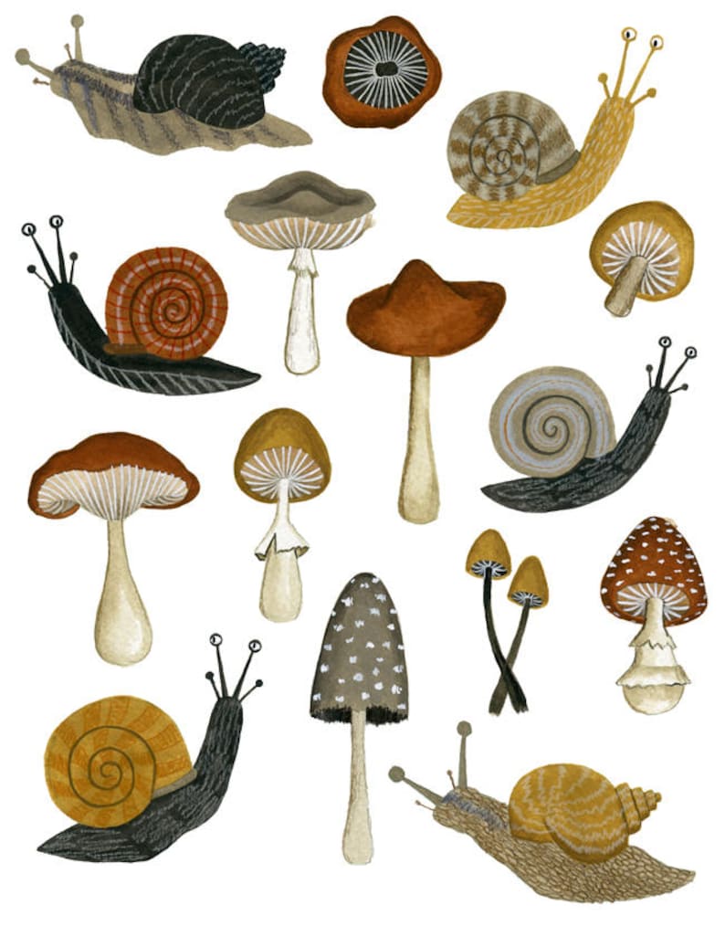 mushrooms & snails Giclée Art Print, 8x10, 11x14 image 2