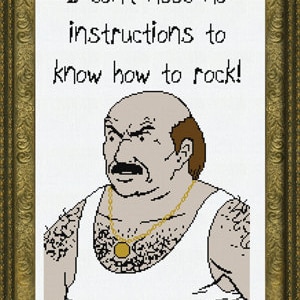 Aqua Teen Hunger Force Carl Brutananadilewski Schema punto croce PDF Download immediato
