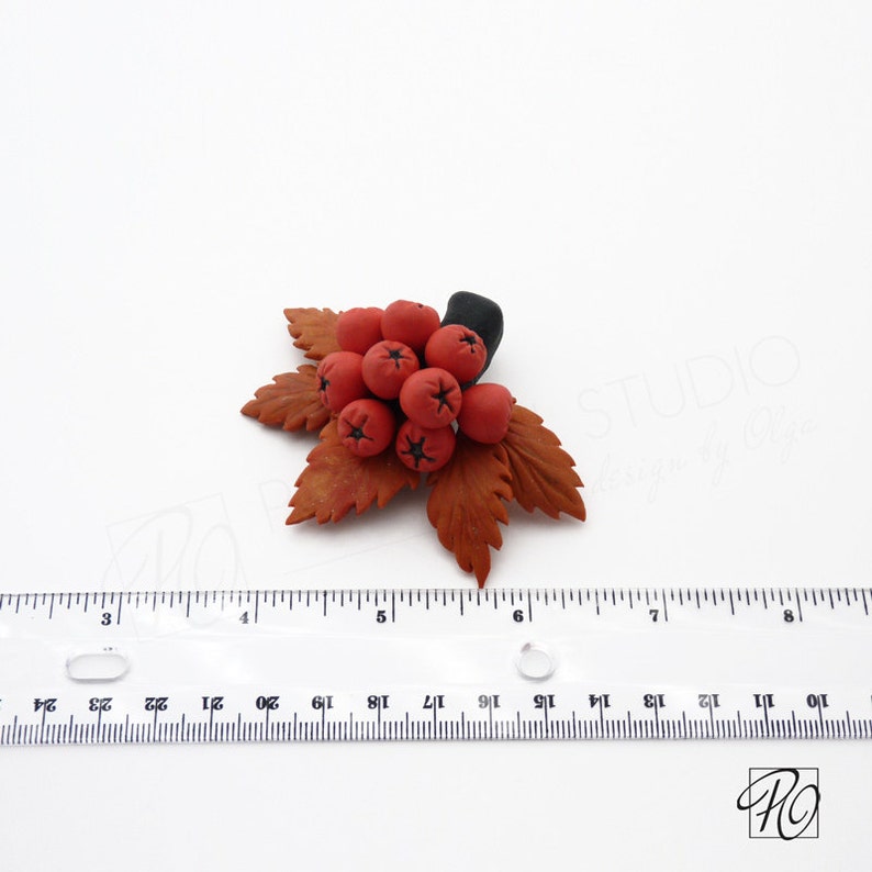May include: A handmade polymer clay brooch featuring a cluster of red berries with black centers, surrounded by brown leaves. The brooch is approximately 2 inches wide.