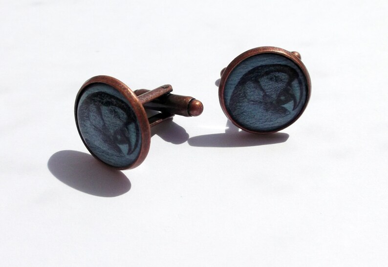 Vintage Macaw Cuff Links