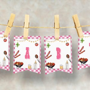Pink Baby-Q Baby Shower Banner, Girl Baby Q Backyard Couples Welcome Baby Banner, Digital Backyard Party Baby Shower Flag Banner CD048