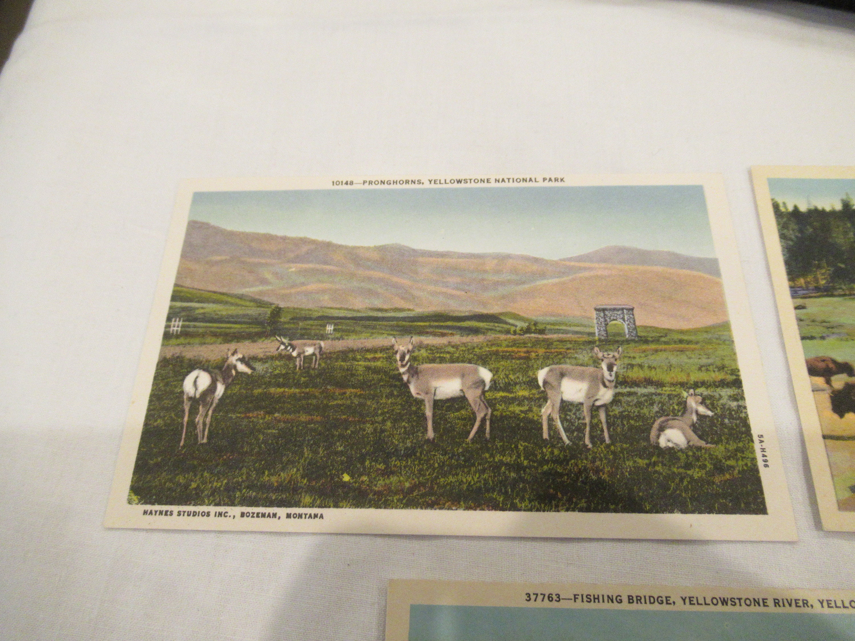 Vintage Postcards from Yellowstone National Park