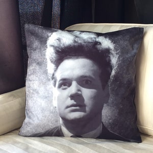 Eraserhead Pillow Cover / David Lynch / Horror Home Decor / Horror Decor / Eraserhead Pillow / Cult Movie / Eraserhead Valentine