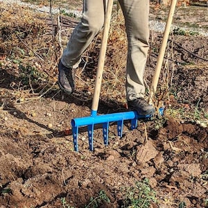 May include: A person using a blue garden rake with wooden handles to till the soil in a garden.