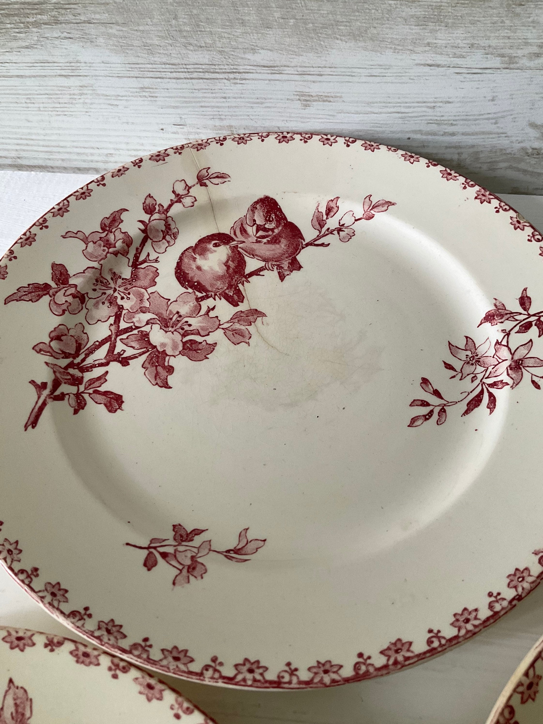 Antique French Plates by Sarreguemines Favori Red French Etsy UK