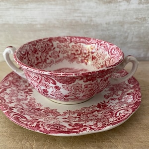 La Cartuja Sevilla Rose Transferware Chocolate Cup and Saucer