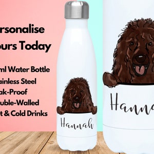 Personalised Water Bottle Vacuum Insulated Stainless Steel 500ml, Gym Bottle, Name, Irish Water Spaniel Gifts, Irish Water Spaniel Lovers