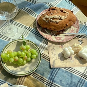 May include: A checkered tablecloth with a white wine glass, a plate of green grapes, a plate with a loaf of bread, and a plate with white decorative balls. The text "Botanical Illustration" is visible on a piece of paper.