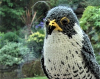 Peregrine falcon, hand knitted raptor, plush bird, amigurumi Peregrine, made in England