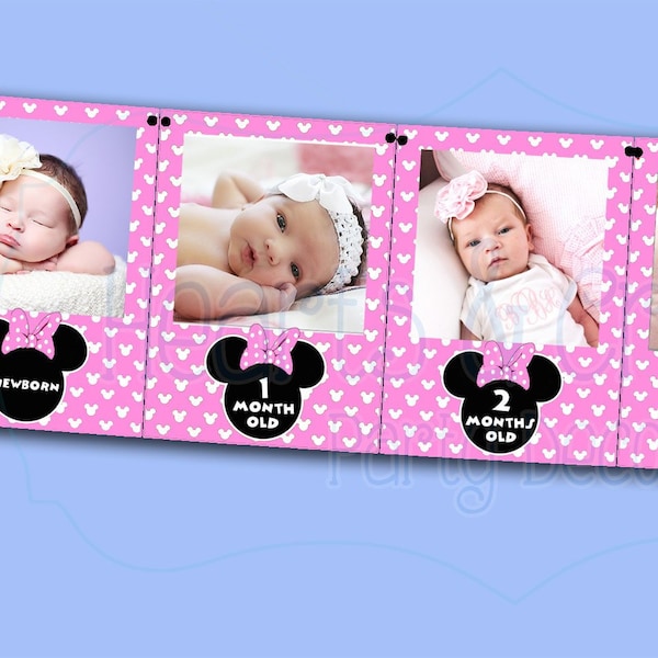 Minnie Mouse 12 Month Photo Banner DIY / First Year Banner / Monthly Pictures / Minnie Mouse First Birthday / Light Pink / FILE to PRINT