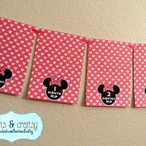 Mickey Mouse First Year Photo Banner / 12 Month Banner / Mickey OR MINNIE / Mickey Mouse First Birthday Party / Baby Mickey MINNIE All Pink