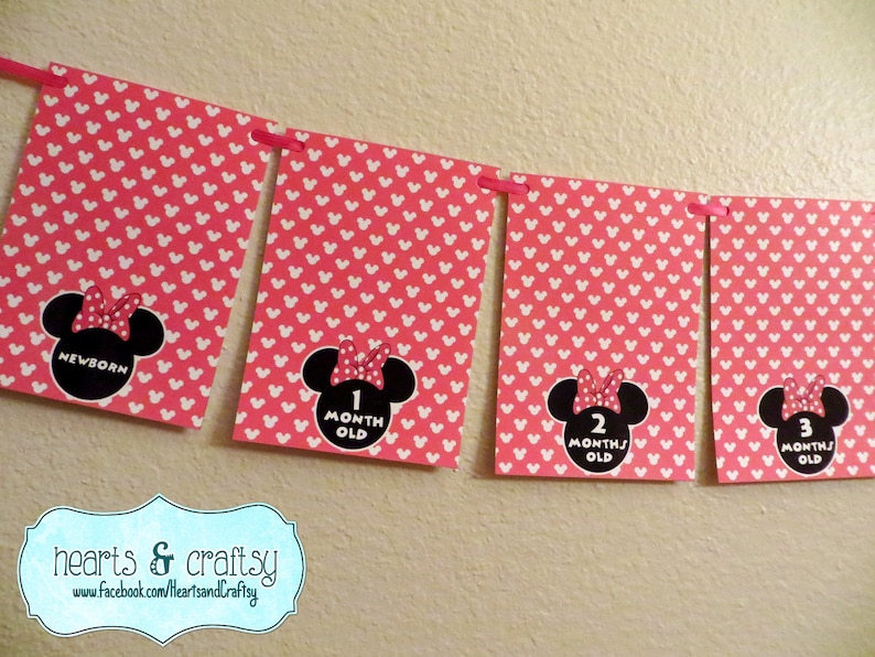 Mickey Mouse First Year Photo Banner / 12 Month Banner / Mickey OR MINNIE / Mickey Mouse First Birthday Party / Baby Mickey MINNIE All Pink