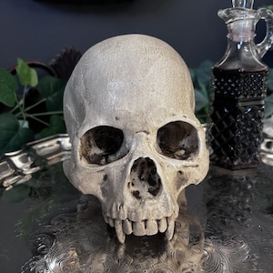 May include: A detailed, off-white skull with visible teeth and eye sockets sits on a silver, ornate tray. A glass bottle with a dark liquid and a decorative stopper is in the background, along with greenery. The skull is the focal point.