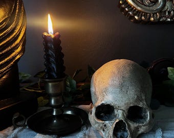 Realistic detailed skull replica