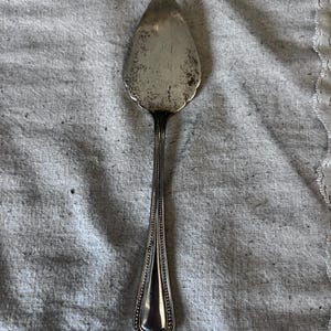 May include: Silver cake server with a scalloped edge and a beaded handle.