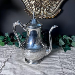 May include: A silver-colored coffee pot with a curved spout, handle, and lid. The pot has a decorative band around the middle and sits on a round base. The background includes a decorative mirror and greenery.