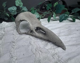 Gothic Dark Academia, groot realistisch ravenschedelbotkleurig