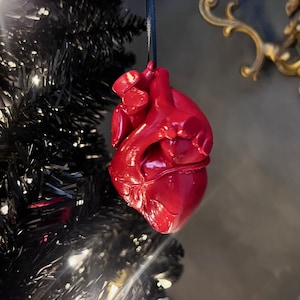 Puede incluir: Adorno navideño en forma de corazón anatómico rojo brillante, suspendido por una cinta negra. El adorno en forma de corazón está detallado con características realistas y cuelga sobre un fondo oscuro, sugiriendo un tema navideño gótico o alternativo.