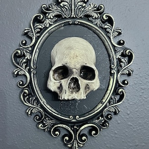 Gothic Framed Skull Wall Decor Bone colored