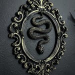 Snake Decor