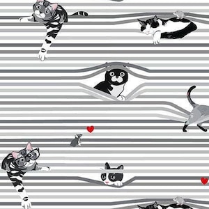 Meow Meow Cats Purrfect Life Tela de algodón de 0,5 metros Timeless Treasures para el hogar y la oficina