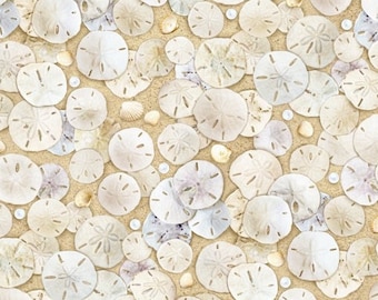 Sand Dollar Shells Beach Love 0.5 meter cotton fabric by Elizabeth Studio Landscape Medley