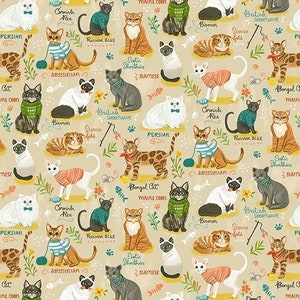 Meow Meow Cats Purrfect Life 0,5 metros de algodón Timeless Treasures Fabrics Home Office