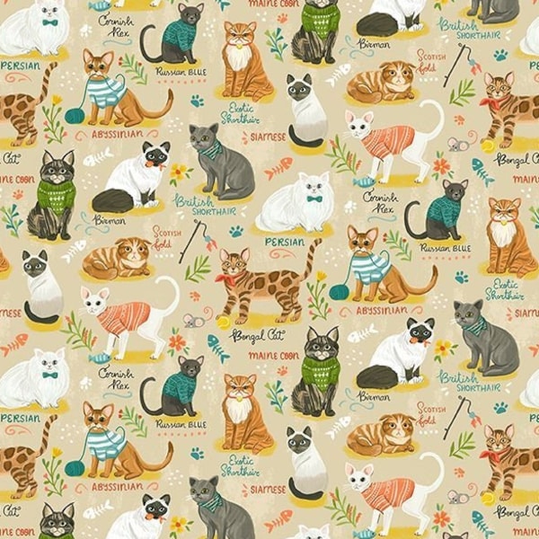 Meow Meow Cats Purrfect Life 0,5 mètre de coton Timeless Treasures Fabrics Home Office