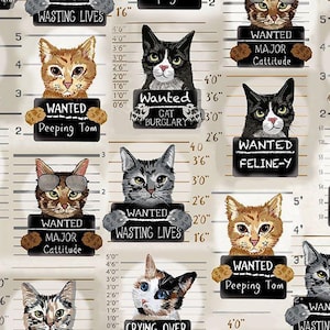 Gatti ricercati Gatti stravaganti Purrfect Life 0,5 metri di cotone Timeless Treasures Fabrics