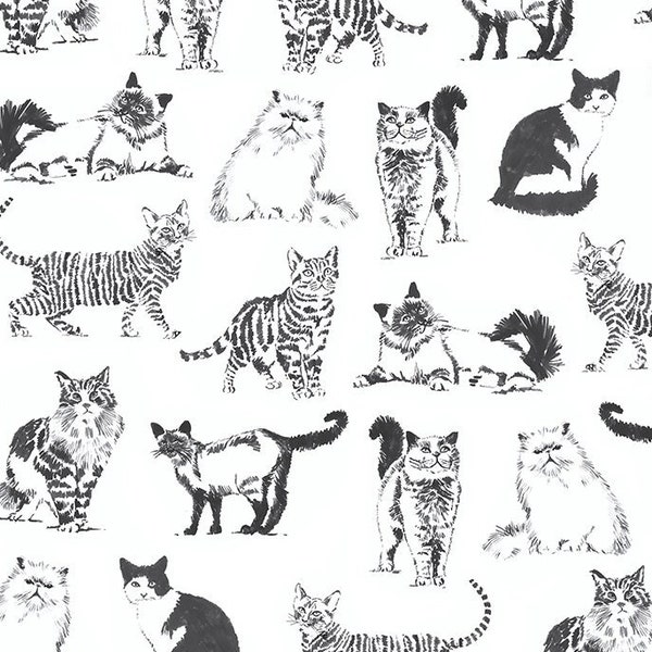 Katzen Black and White Cats Miau 0,5 Meter Baumwollstoff von Timeless Treasures