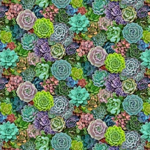 Succulents Landscape Medley Multi lebende Steine Kakteen Kaktus Cactus Pflanzen klein 0,5 Meter Baumwollstoff von Elizabeth Studio