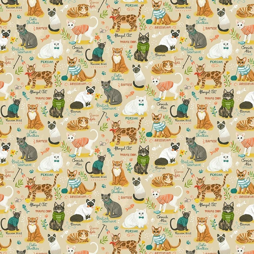 Miau Miau Katzen  Purrfect Life  0,5 Meter Baumwolle Timeless Treasures  Fabrics  Homeoffice