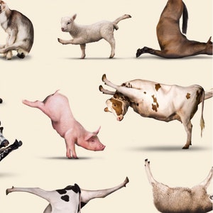 Pode incluir: Uma coleção de animais de fazenda realizando poses de yoga em um fundo bege claro. Um cavalo marrom está em cão de cabeça para baixo, uma ovelha branca está em uma postura de guerreiro, um porco rosa está em uma postura de mão e duas vacas estão em uma postura de flexão para trás.