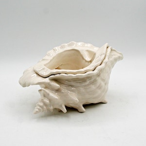 May include: A cream-coloured ceramic seashell-shaped container. The container has a textured surface and a lid. The seashell design includes intricate details, such as ridges and curves, and is suitable for coastal decor.