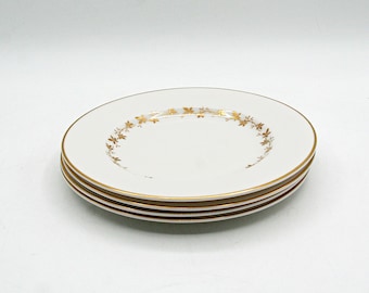 Set van 4 brood- en boterbordjes, 16,5 cm, Royal Doulton English Citadel-patroon