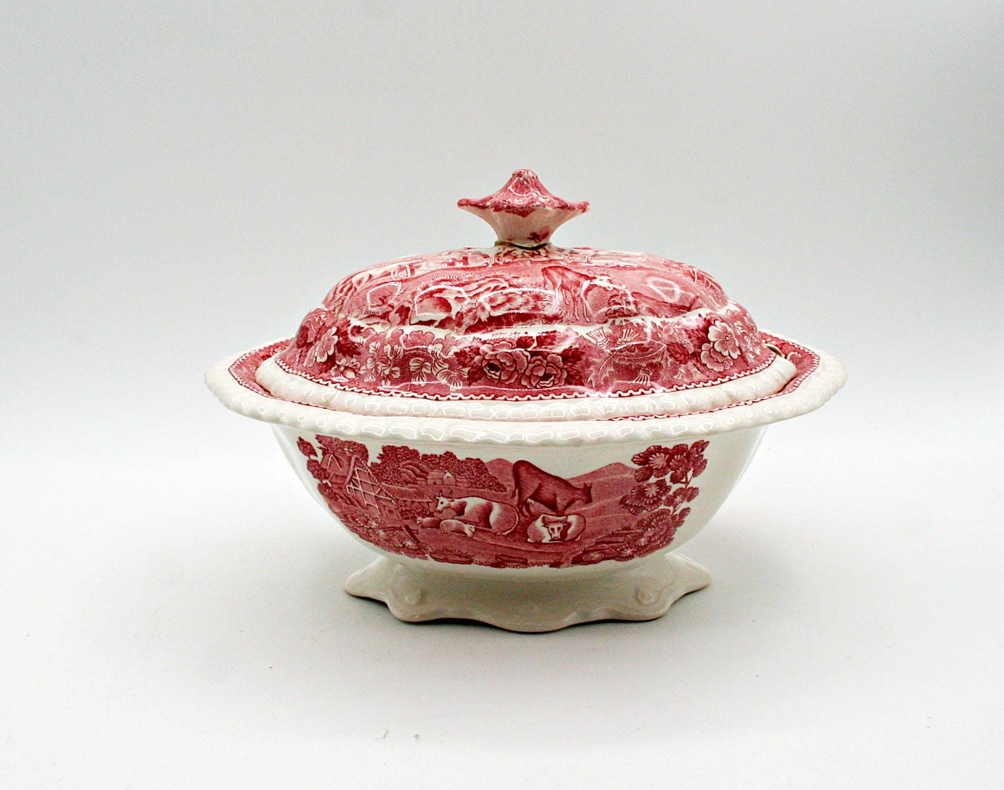 Adams english scenic - Etsy 日本