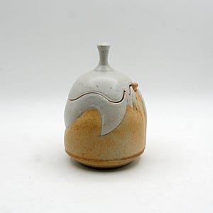 Vintage Studio Pottery Honey Jar with Dipper, Signed Ceramic Honey Pot, Cottagecore Kitchen Decor, Country Farmhouse Gift