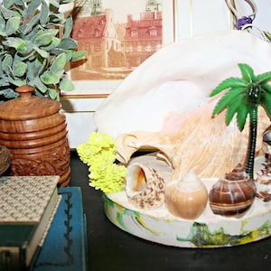 Pode incluir: Uma exibição decorativa de conchas marinhas com uma grande concha, uma palmeira em miniatura e várias conchas. A base é pintada com uma cena de praia. Um pote de madeira e livros estão no fundo.