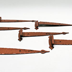 Peut inclure: Un ensemble de cinq pentures en métal de couleur rouille, chacune présentant un design long et effilé avec une extrémité pointue et un gond cylindrique. Les pentures ont une surface texturée et patinée avec des trous de fixation.