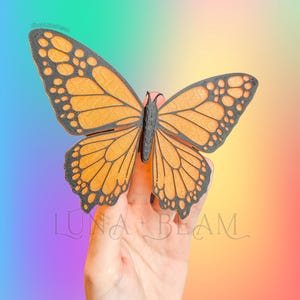 May include: An orange and black butterfly with detailed wing patterns, set against a rainbow gradient background. The image includes the text "LUNA + BEAM".