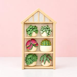 May include: A wooden shelf unit displaying six miniature potted plants with green, red, and white foliage. The plants are in off-white pots. The shelf unit has a light wood finish and is set against a pink background. The text "shoplunabeam" is at the top.