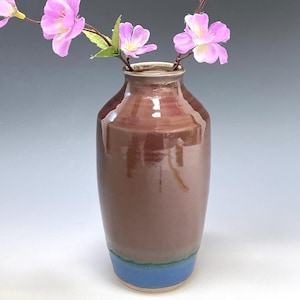 May include: A brown ceramic vase with a blue base holds a branch of pink flowers. The vase has a glossy finish and a cylindrical shape, with a slightly flared rim. The flowers are a vibrant pink color.