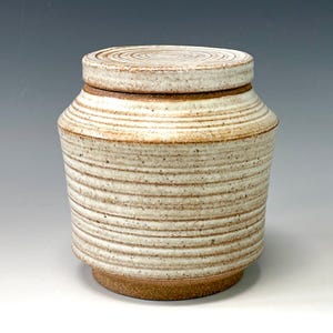 Ceramic jar with lid: handmade pottery container canister pet urn speckled cream