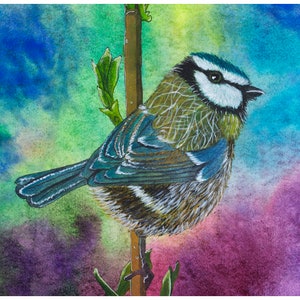 Download de arquivo digital de arte de chapim-azul da vida selvagem britânica / papel de parede / cartões