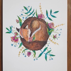 Sleeping Fox Surrounded by Flowers Fine Art Giclee&#39; Print. Fox print/ home decor/ cute animal/ artwork/ fox picture
