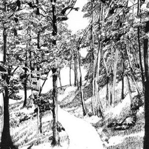 Pen and Ink Limited Edition Landscape Print &quot;Pathway to Success&quot; By Ray Horner Jr. Reflection Art Home Decor Unframed &quot;19.5x15.5&quot;