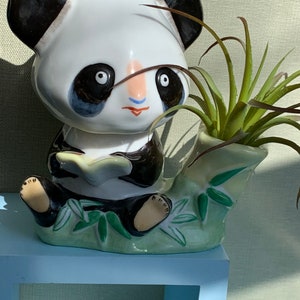 Planteur de panda de porcelaine avec la tête de nodder de méga pour succulent de cactus