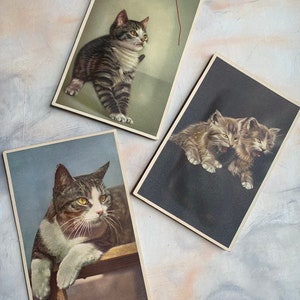 Vintage Set de 3 chatons cartes postales soufflé non-grincement utilisé éphémères