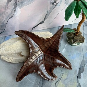 May include: A brown ceramic starfish dish with a glossy finish. The dish is shaped like a starfish with five points and has a slightly raised center.