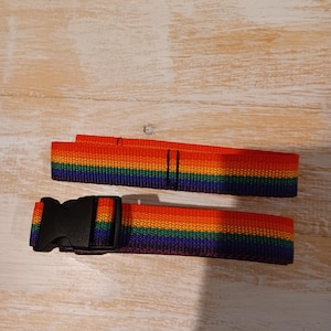 Puede incluir: Una correa de nailon con rayas de arco&iacute;ris que incluye una hebilla de pl&aacute;stico negro de liberaci&oacute;n lateral. La correa muestra bandas horizontales en rojo, naranja, amarillo, verde, azul y violeta. Una secci&oacute;n est&aacute; doblada y otra tiene la hebilla.